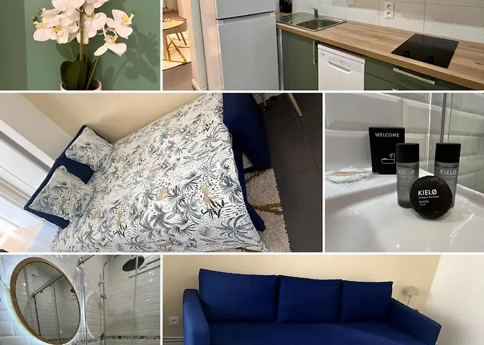 Appartement Dalikyda - Le Clovis - Center - Free Parking