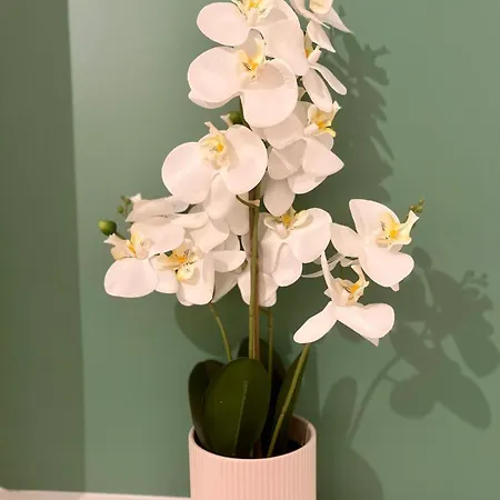 Dalikyda - Le Clovis - Center - Free Parking Le Havre